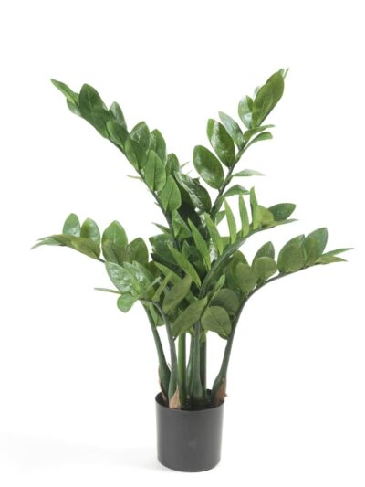 Emerald Plantă Zamioculcas artificială, 70 cm - Casa - Decoo