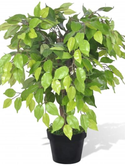 Ficus pitic artificial cu ghiveci, 60 cm - Casa - Decoo