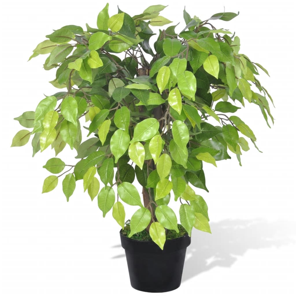 Ficus pitic artificial cu ghiveci, 60 cm - Casa - Decoo